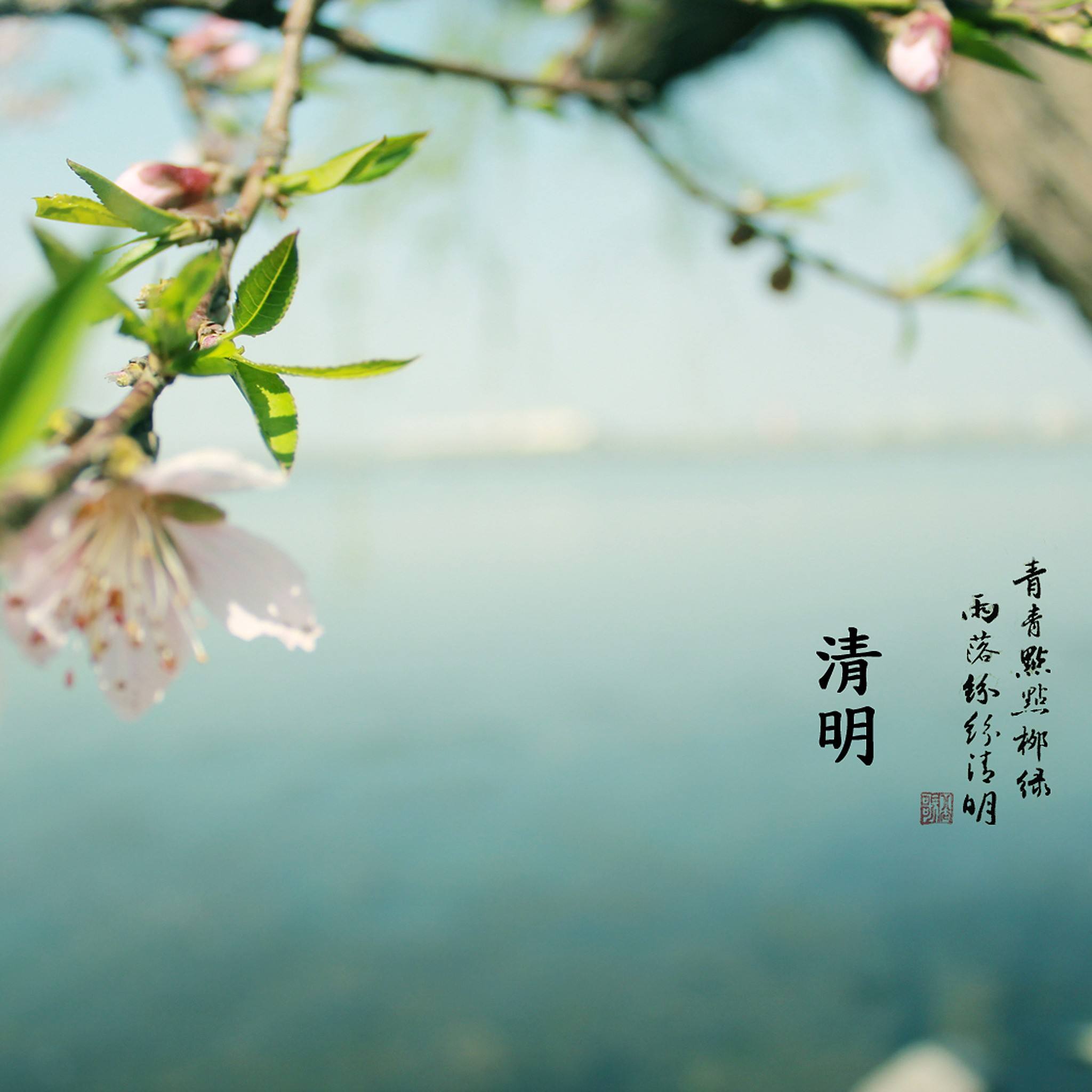 清明节.jpg